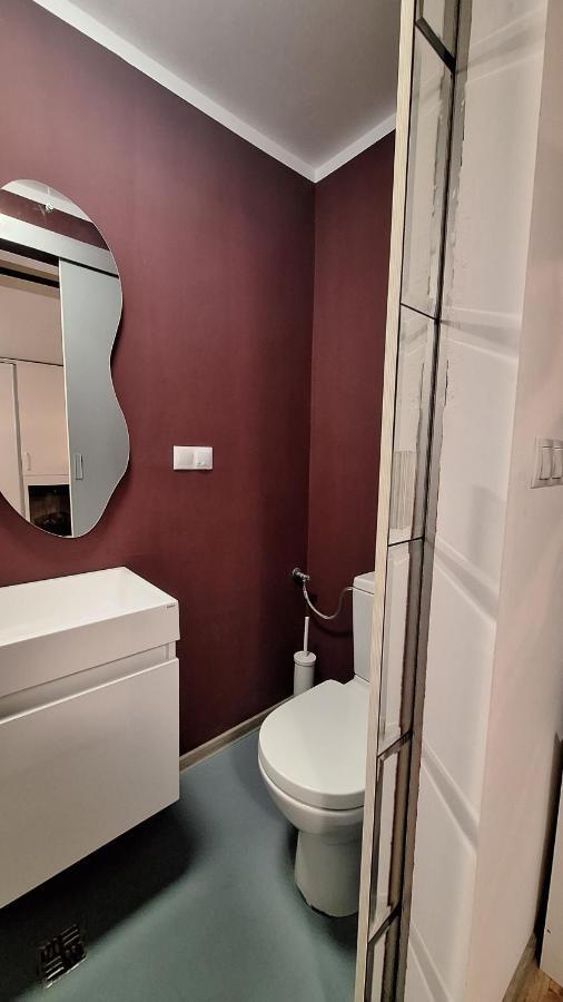 Swanhome - Central Apartment Cluj Napoca Bagian luar foto