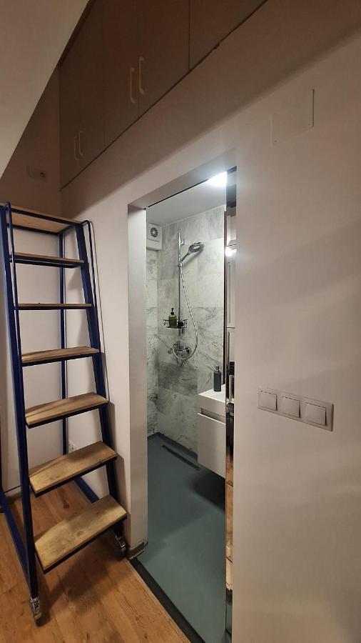 Swanhome - Central Apartment Cluj Napoca Bagian luar foto